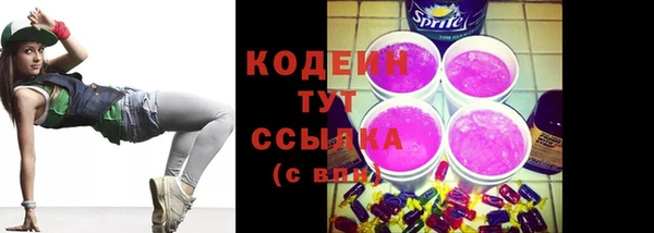 спиды Богородицк