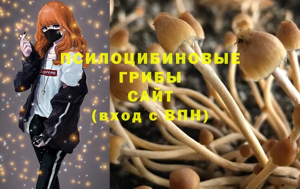спиды Богородицк