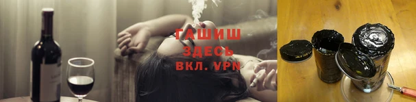 спиды Богородицк