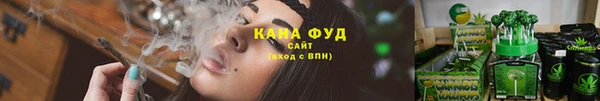 спиды Богородицк