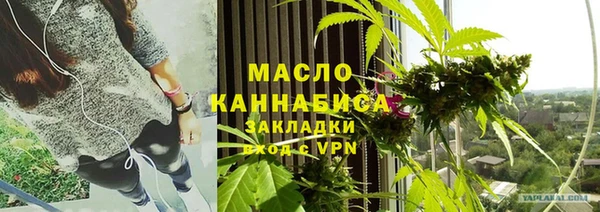 спиды Богородицк