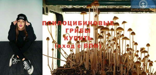 COCAINE Богданович