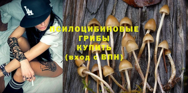 COCAINE Богданович